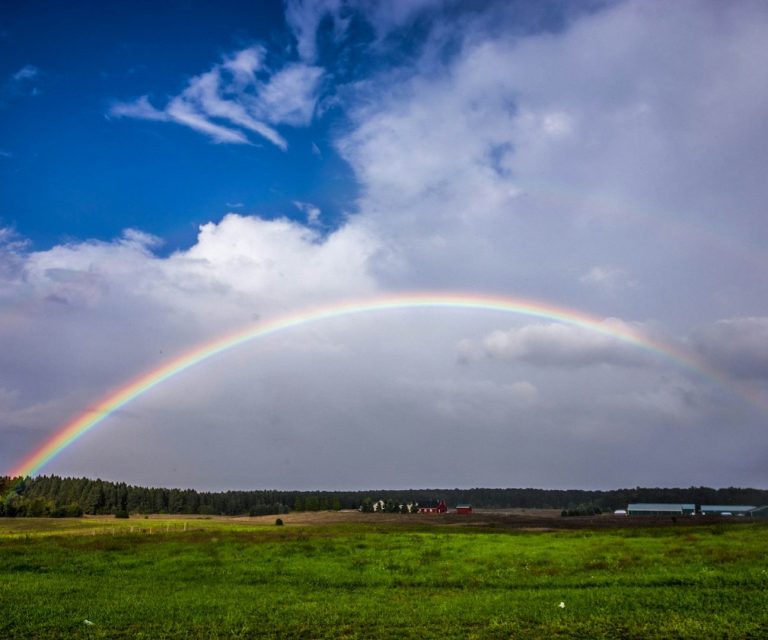 TrauerConnect verbindet Trauernde und Begleiter
